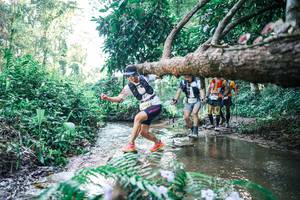 BIB: 
                            <button type="button" onclick="openModal(25442616)" class="btn btn-primary btn-sm float-right btn-popup" data-toggle="modal" data-target=".modal-high-quality">
                        <i class="fas fa-shopping-cart"></i> Add to Cart
                    </button>
                                            <button type="button" onclick="isThisMe(25442616, true)" class="btn btn-success btn-sm float-right btn-popup btn-isme hidden" data-toggle="tooltip" data-placement="bottom" title="นี่คือรูปของคุณใช่ไหม คลิกที่นี่เพื่อเอาเข้าอัลบั้ม">
                        <i class="fas fa-plus"></i> Add to album
                    </button>
                    <button type="button" onclick="isThisMe(25442616, false)" class="btn btn-warning btn-sm float-right btn-popup btn-isnotme hidden">
                        <i class="fas fa-ban"></i> Remove from album
                    </button>